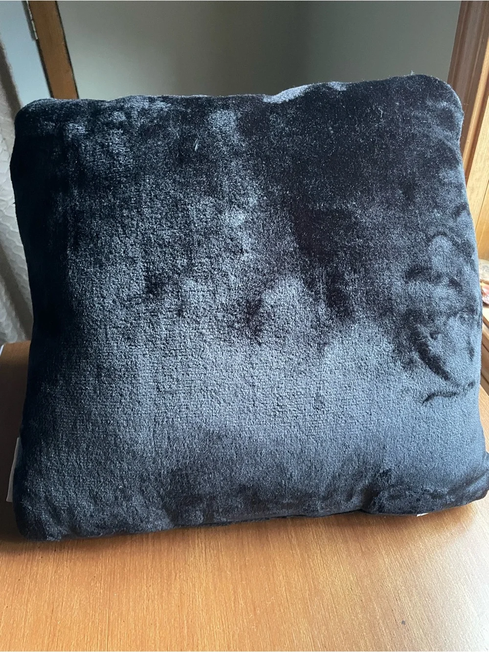 Rae Dunn Hocus Pocus Halloween Down Filled Throw Accent Pillow 13